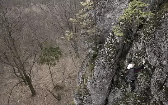 Konferencje w Jurze Krakowsko-Częstochowskiej