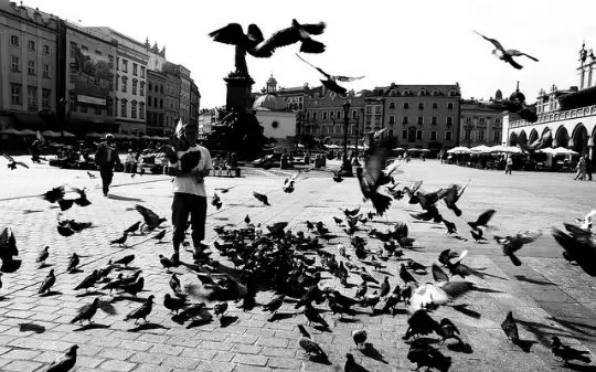 Nowy program Kraków Convention Bureau