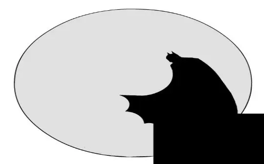 Batman we Wrocławiu