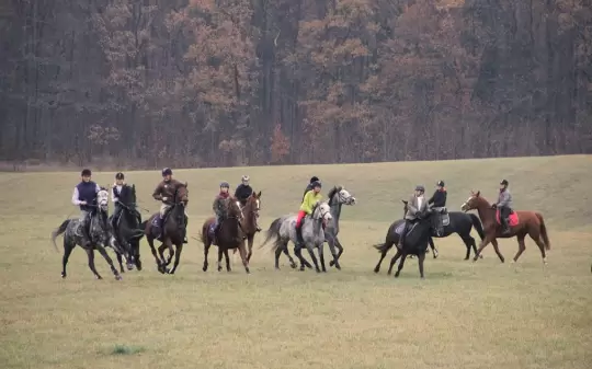 Niezapomniany weekend w Hotelu Galiny