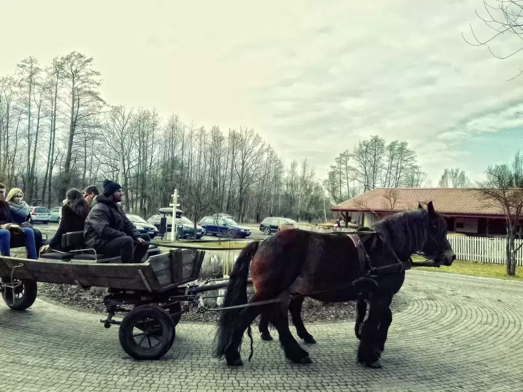 Stadnina w Wierzbowym Ranczu