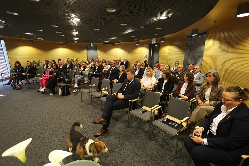 Wellbeing jako strategia, nie moda