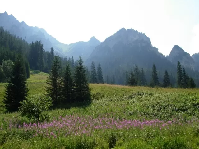 Podhale - poczuj radość zdobywcy
