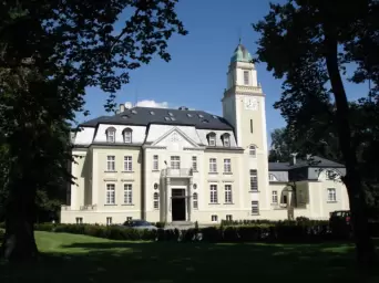 Pałac Borowa****