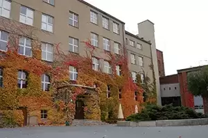 Zdjęcie obiektu Synergy Trainings