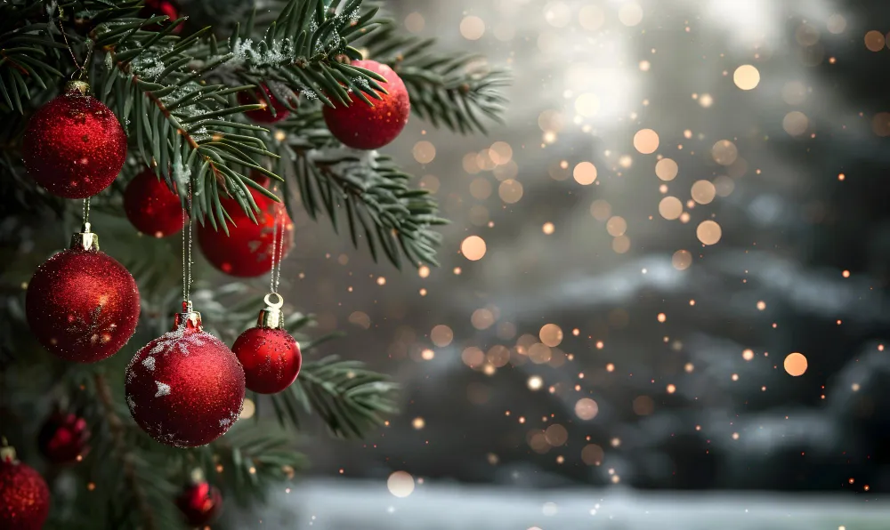 Zdjęcie obiektu Hotel Europa****