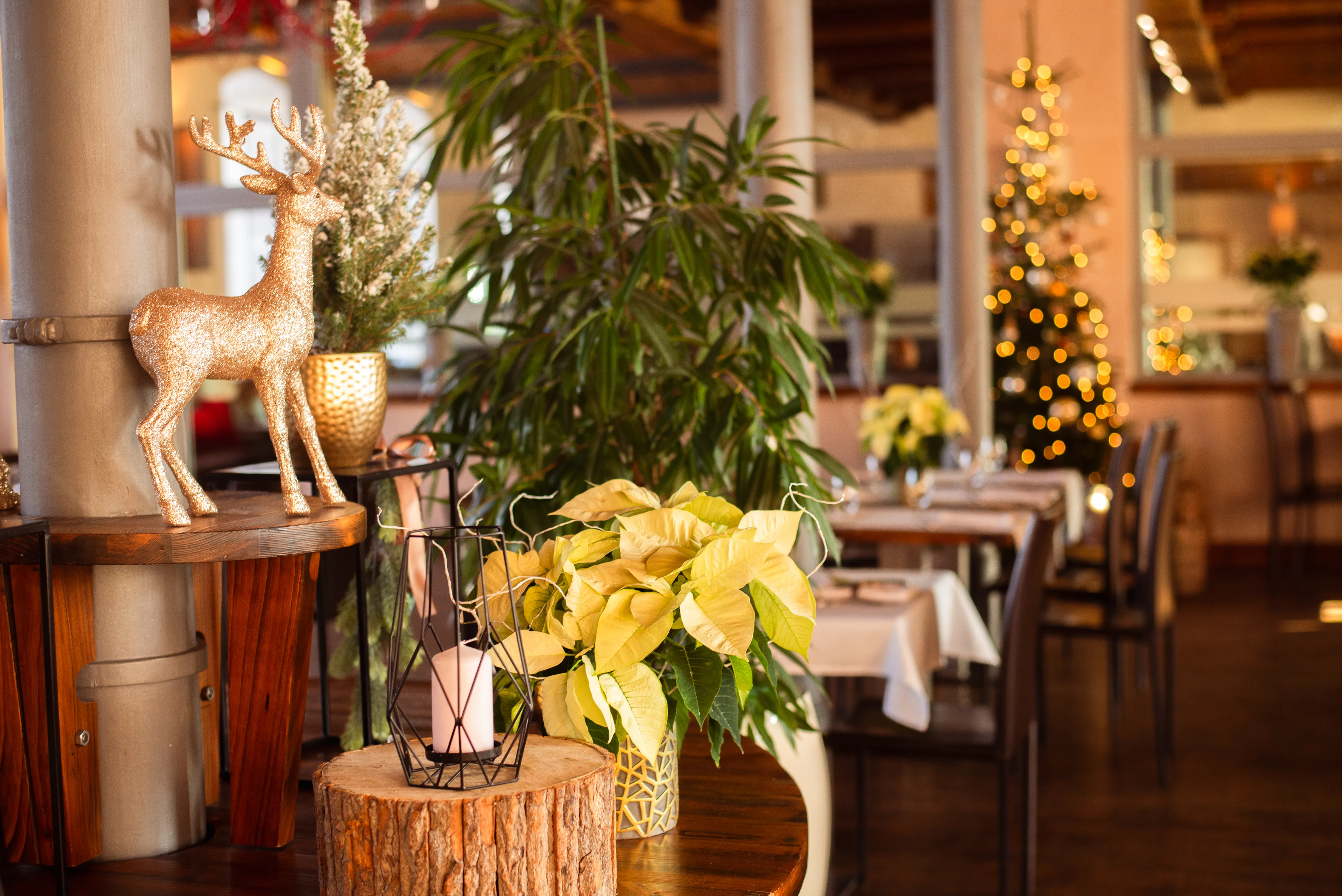Oferta wigilijna obiektu Młyn Jacka Hotel & SPA