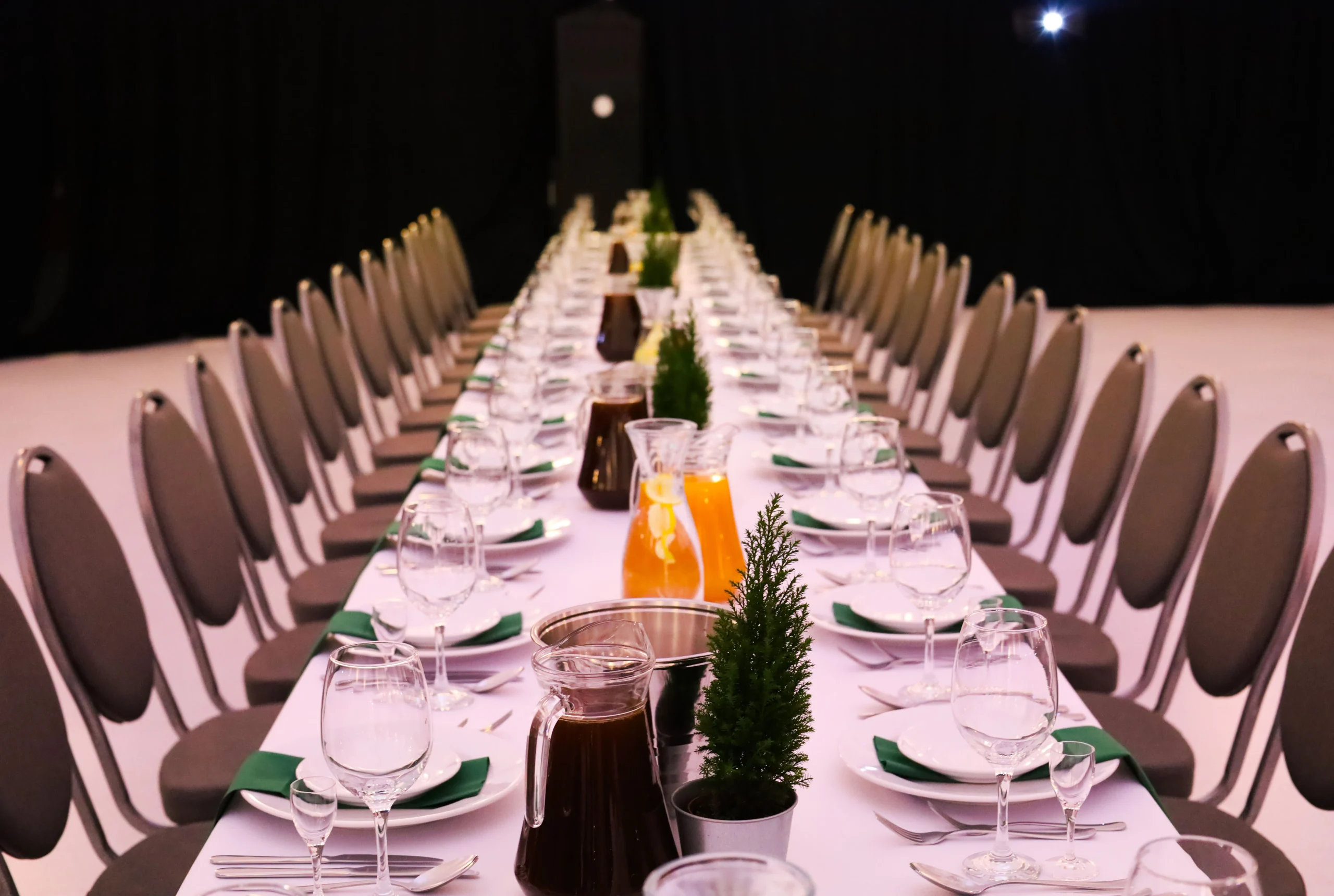 Wigilia firmowa - Opolanka Restaurant & Leisure***