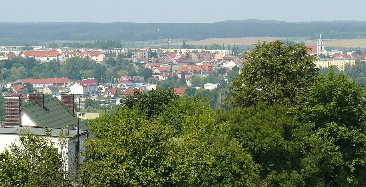 Chodzież
