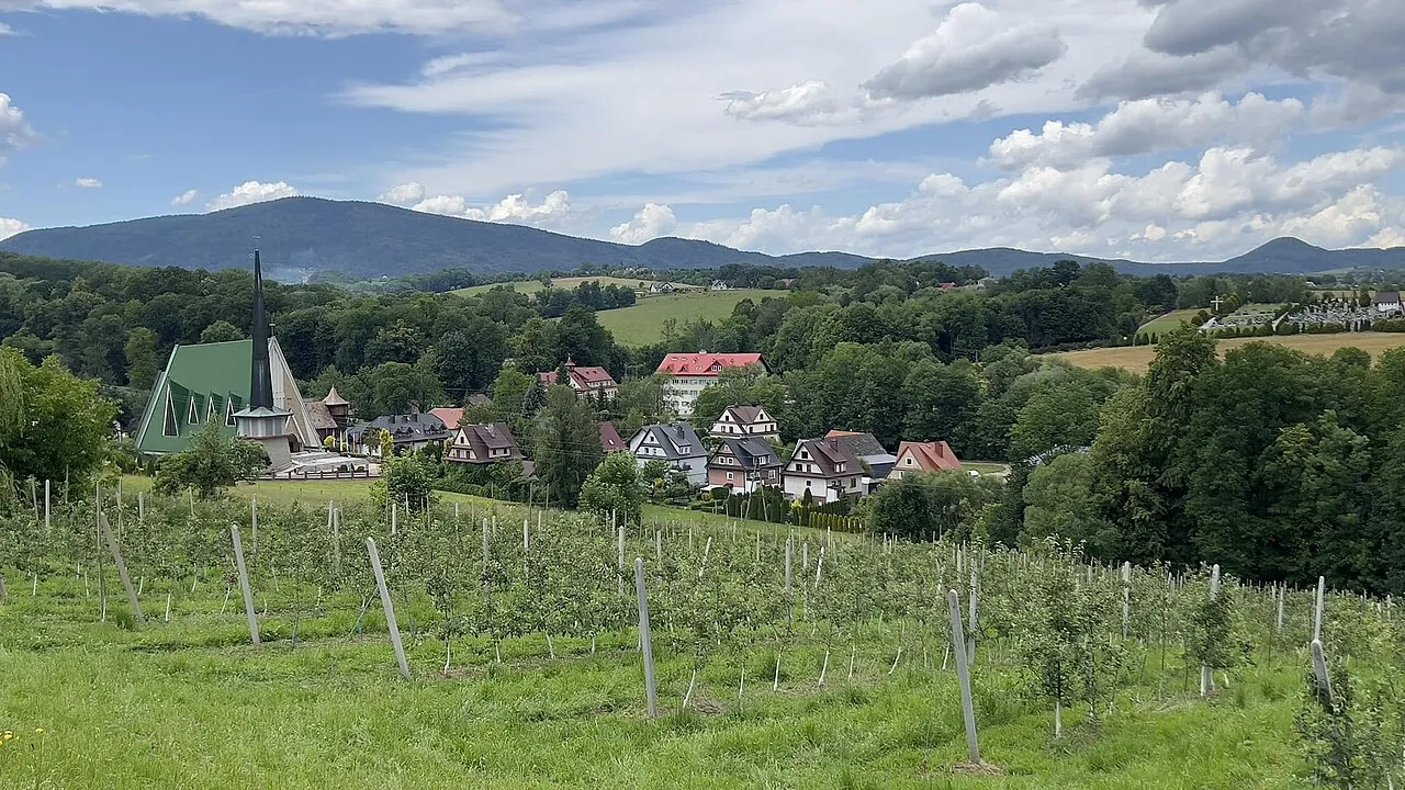 Jodłownik