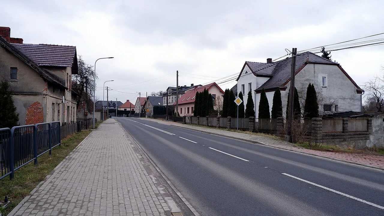 Zielina