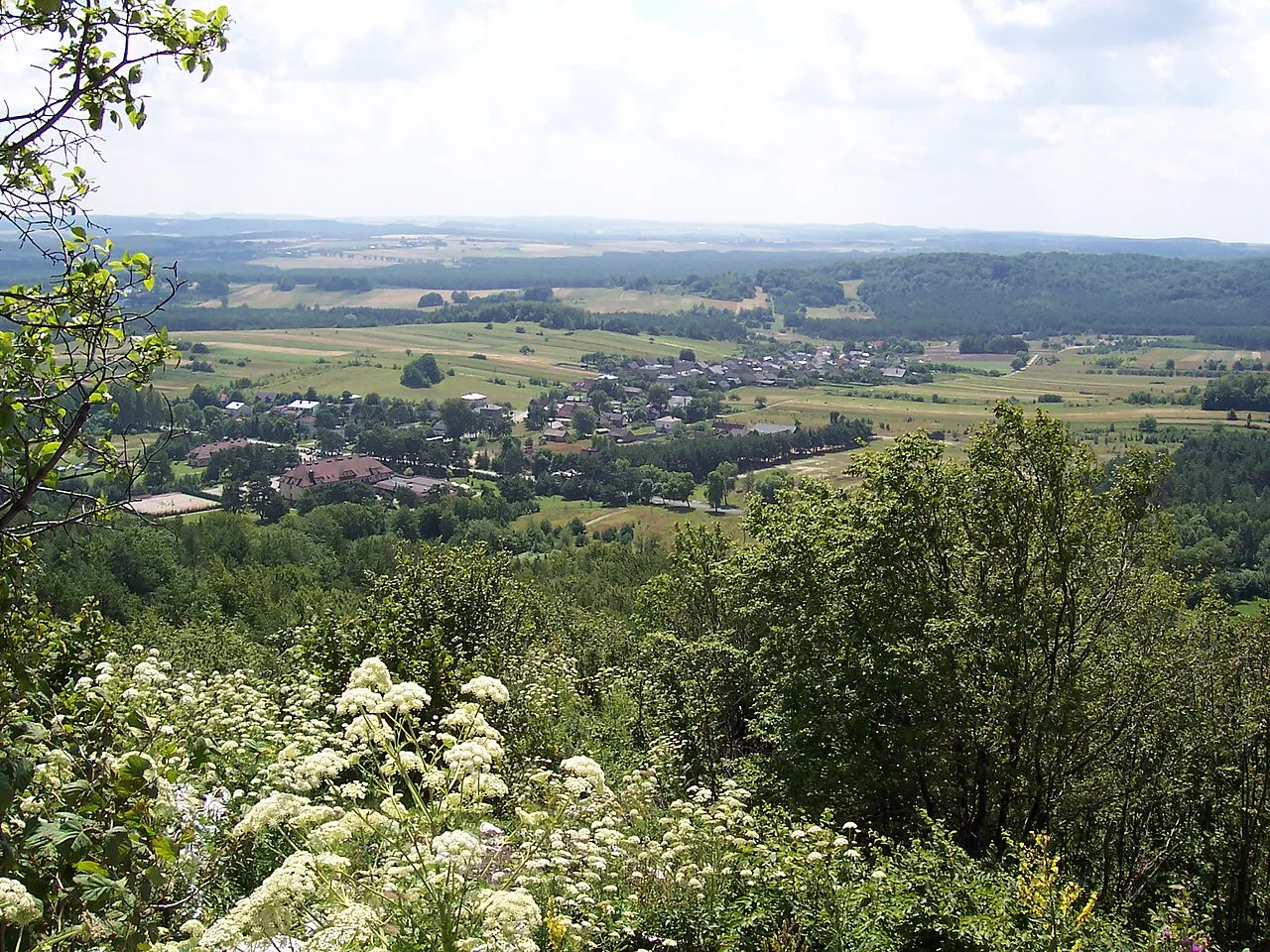 Podlesice
