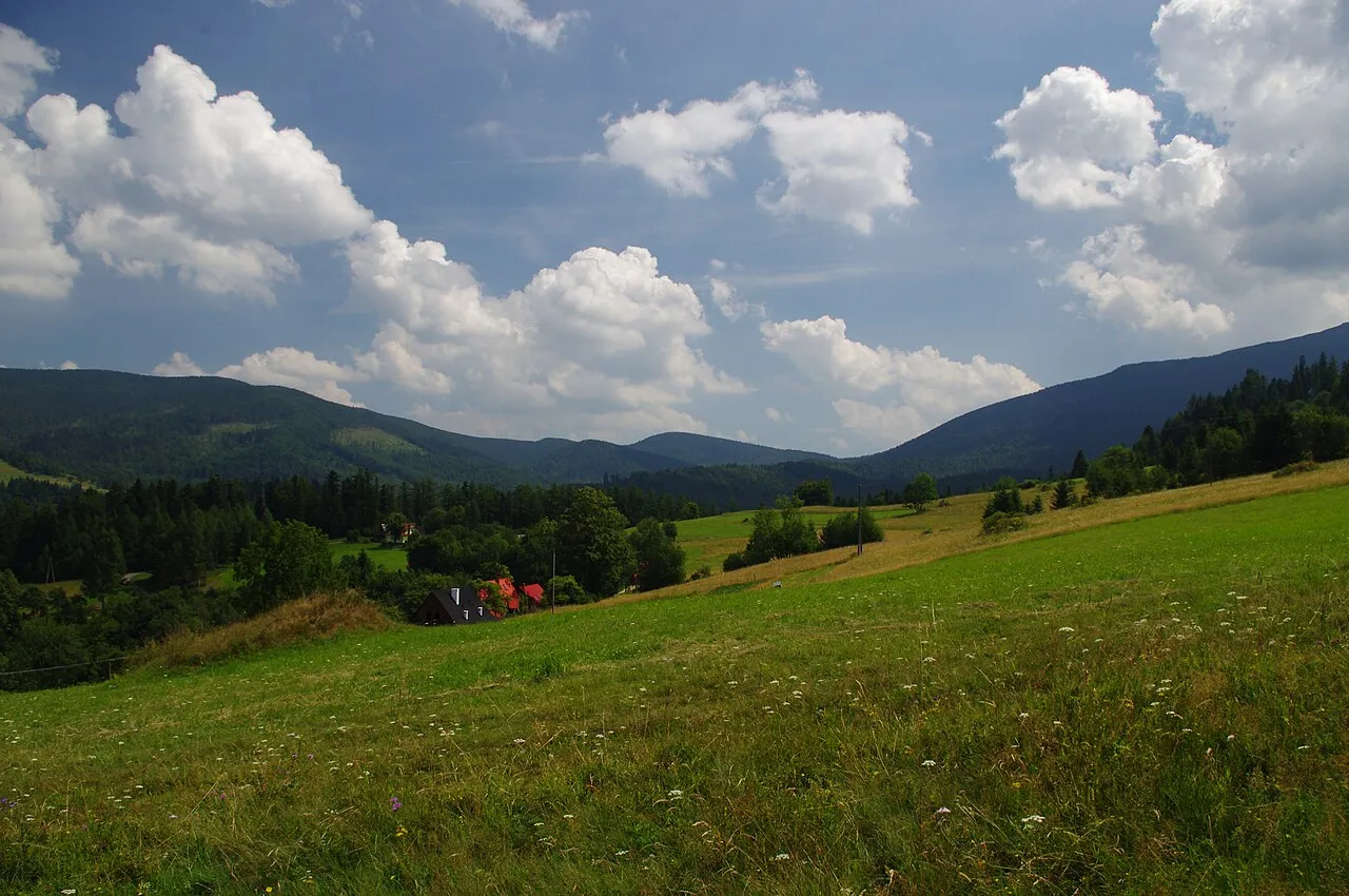 Zawoja