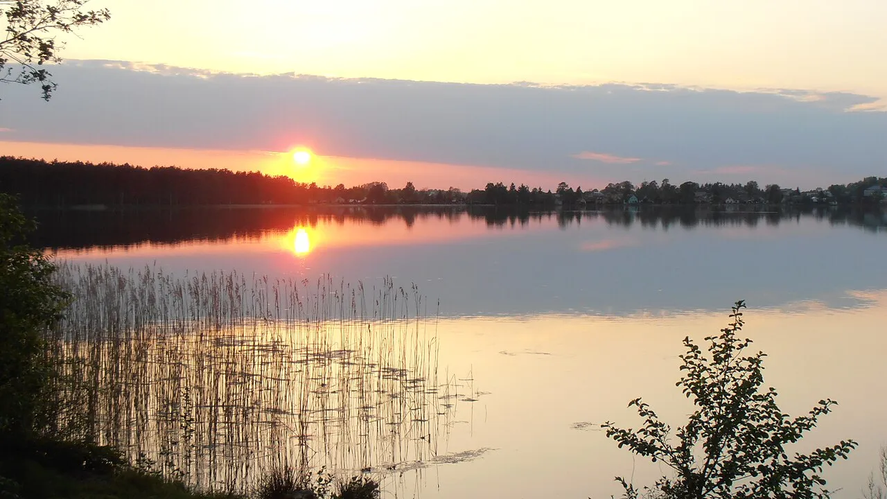 Firlej