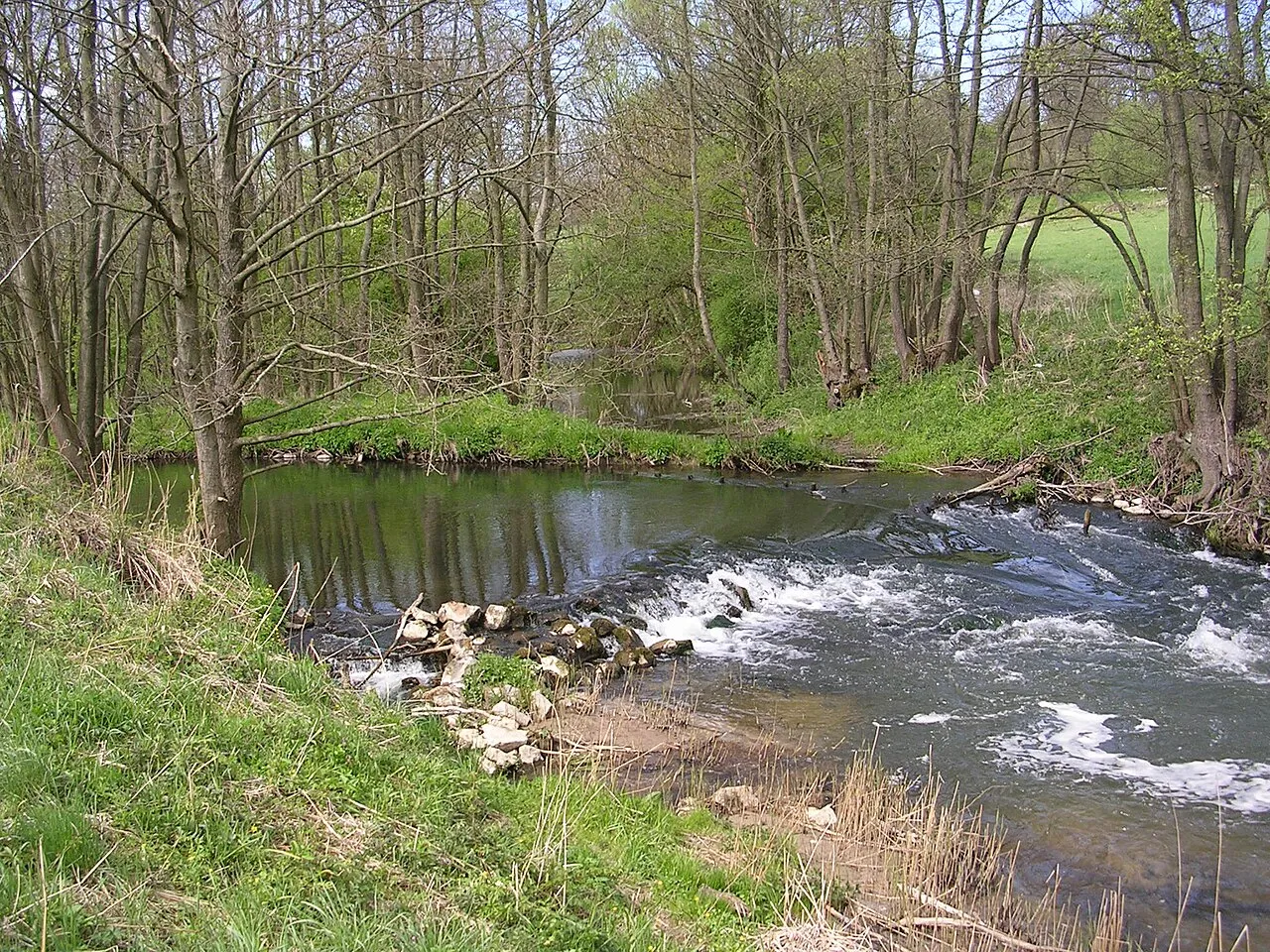 Straszyn