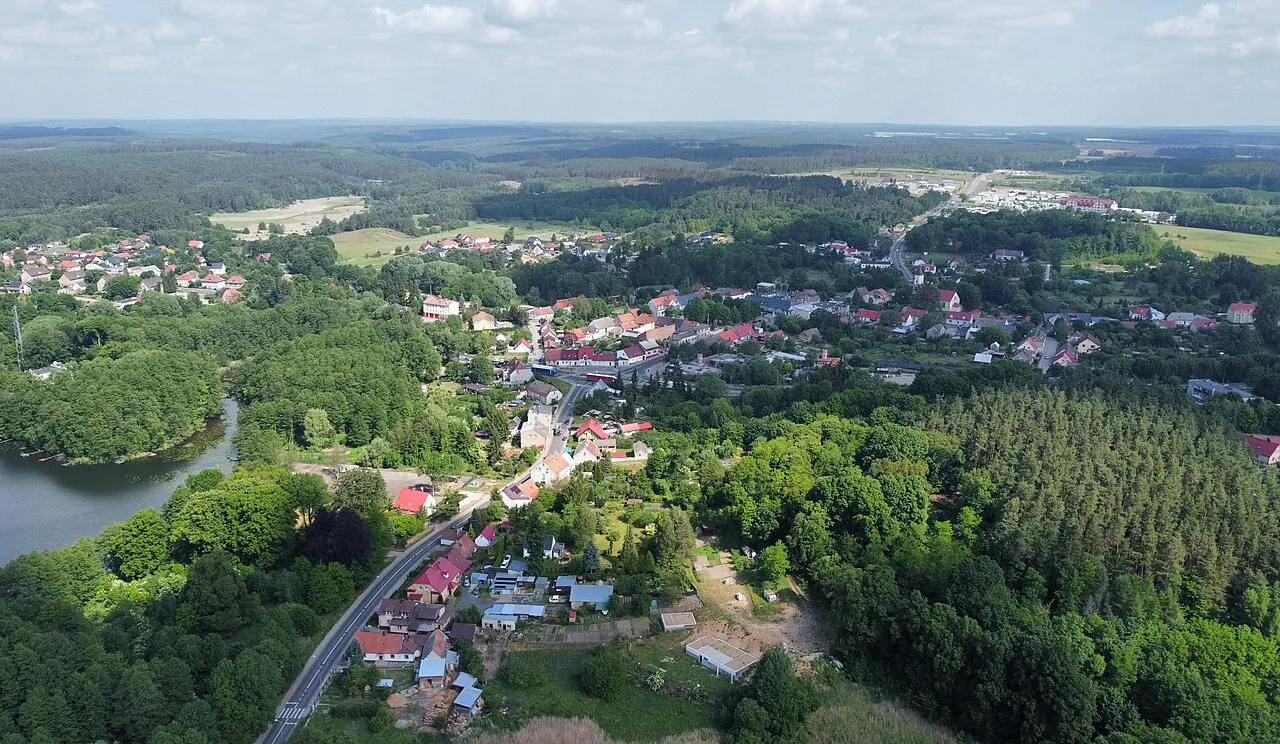 Torzym