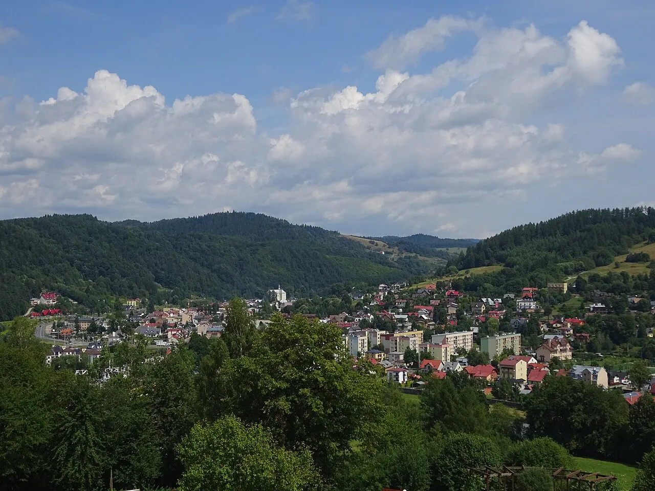 Fot. Mach240390, CC BY 4.0 Muszyna