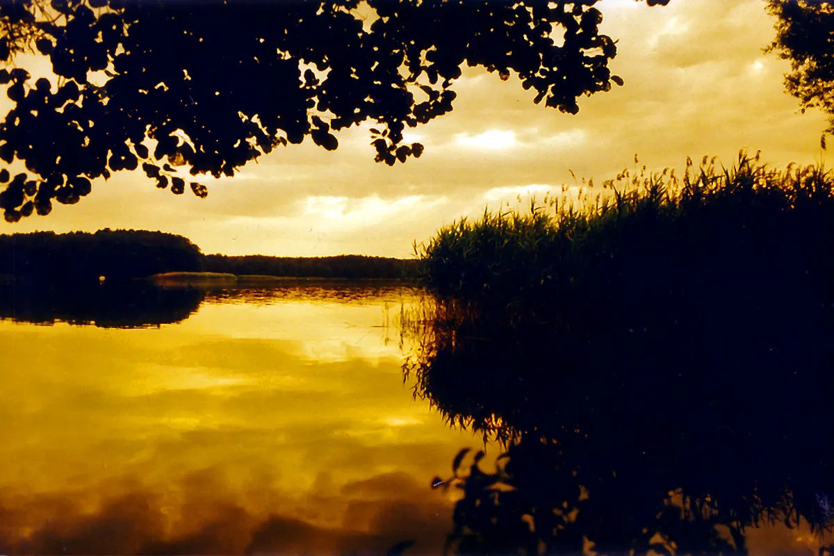 Lubiatów