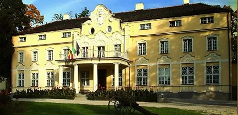 Witaszyce