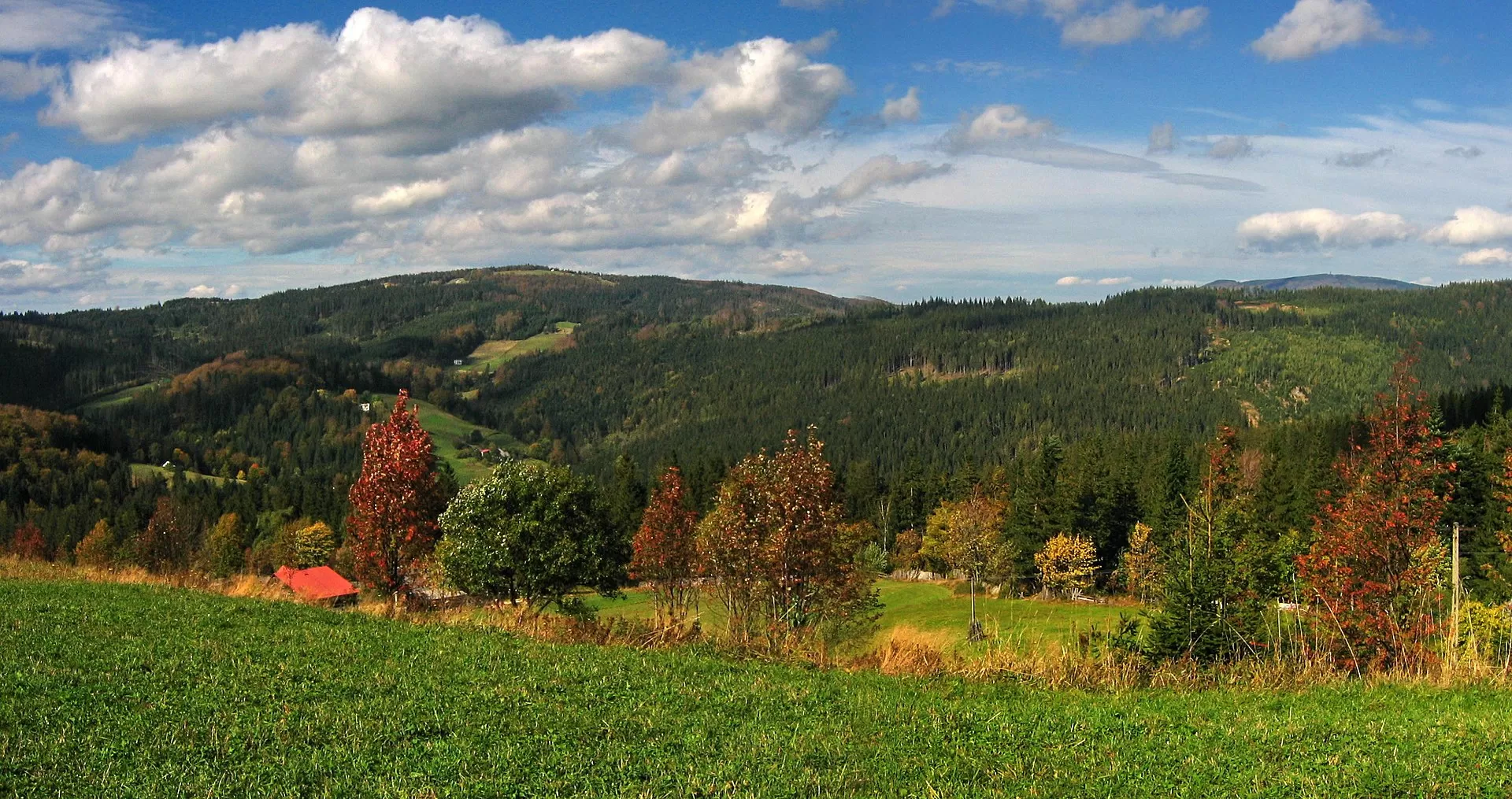Wisła