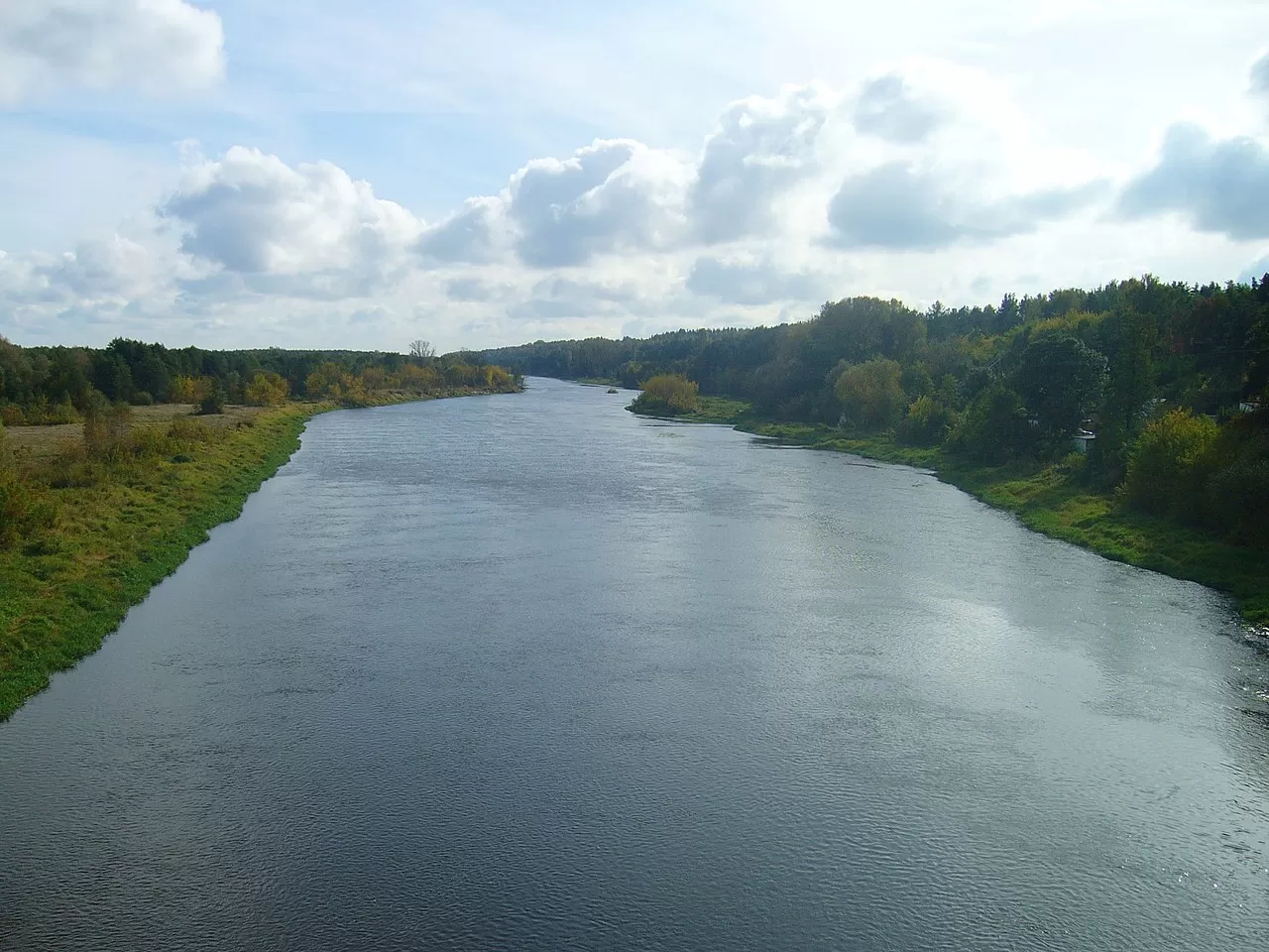 Różan
