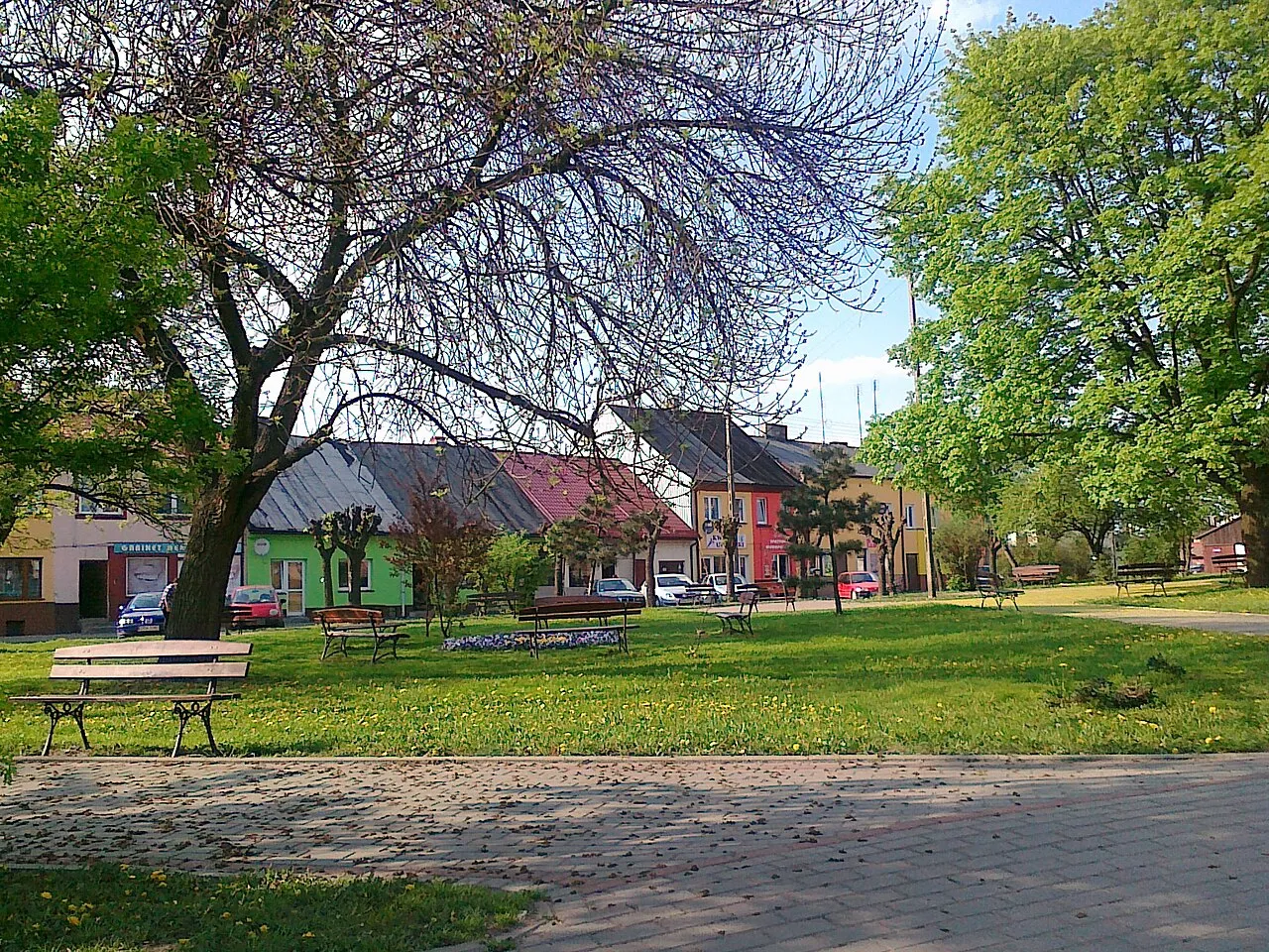 Biała Rawska