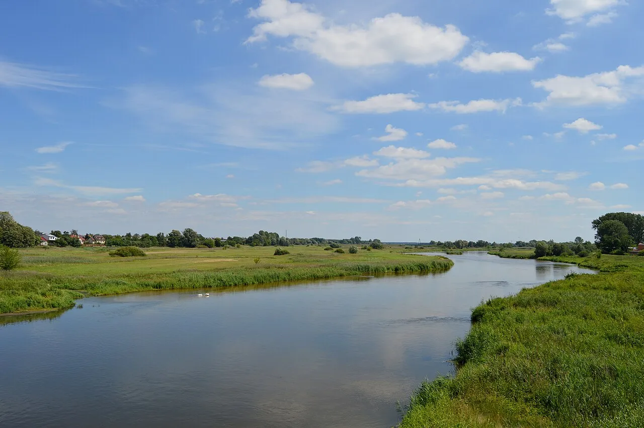 Warta