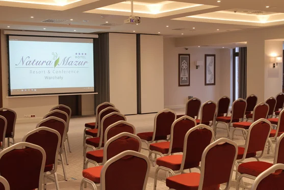 Natura Mazur Resort & Conference**** - Sala  Wiosna