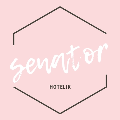 Logo Hotelik Senator