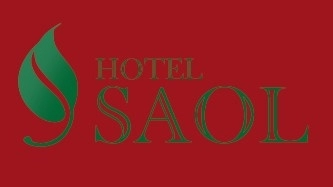 Hotel Saol***