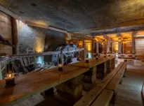 sala konferencyjna do 113 osób