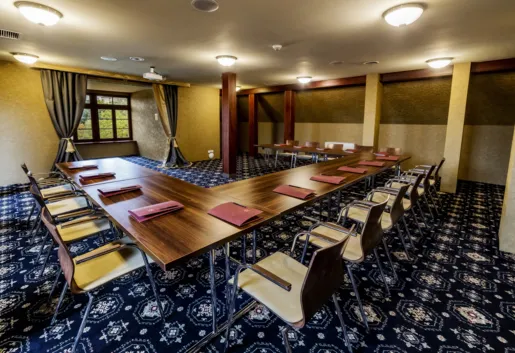 sala konferencyjna do 30 osób