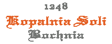 Logo Kopalnia Soli Bochnia