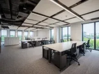 Sala 515