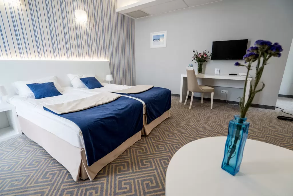 Pokój w hotelu Hotel Aleksandria