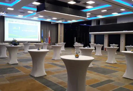 Wnętrze Sala Balowa AB+C – zdjęcie 2