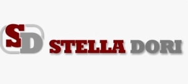 Logo Stella Dori Radom