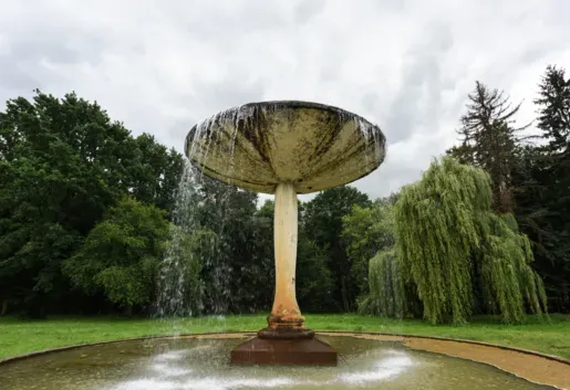 Wnętrze Sala Park angielski – zdjęcie 2