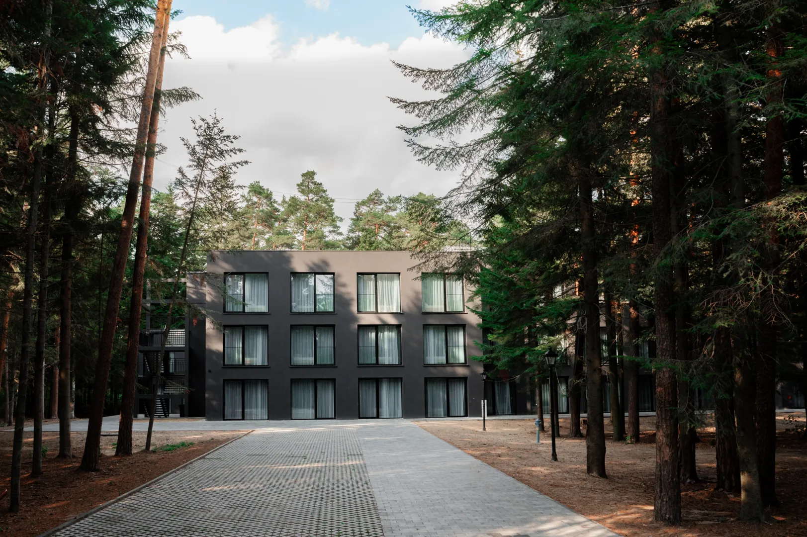 Forest house