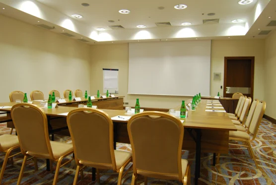 Hilton Garden Inn Rzeszów**** - Sala Matrix