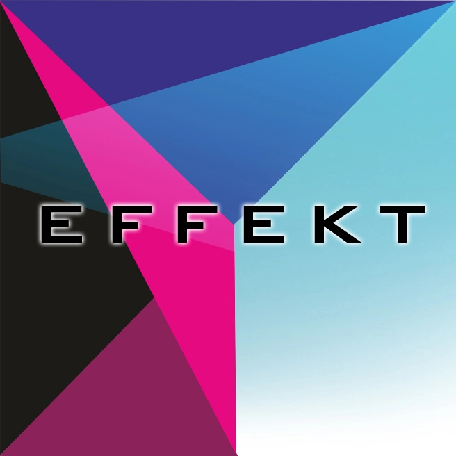 Logo Centrum Szkoleniowo-Konferencyjne EFFEKT