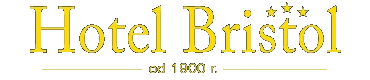 Logo Hotel Bristol***