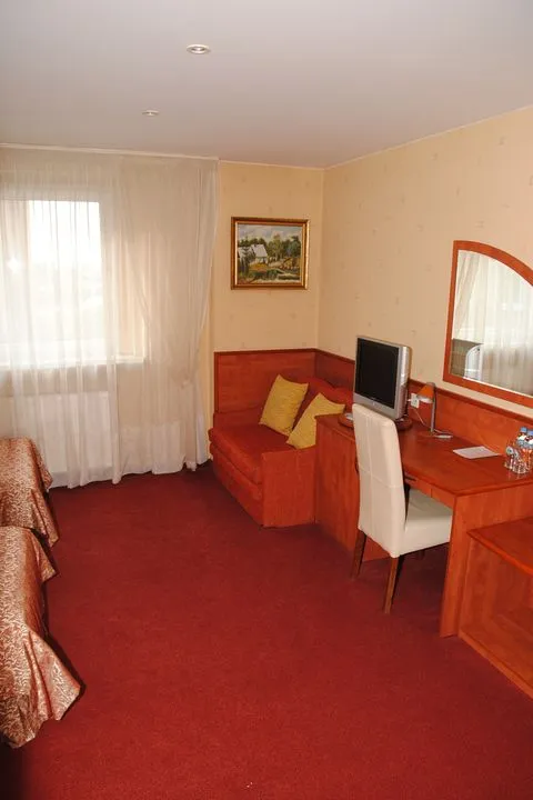 Pokoj w hotelu Boss***