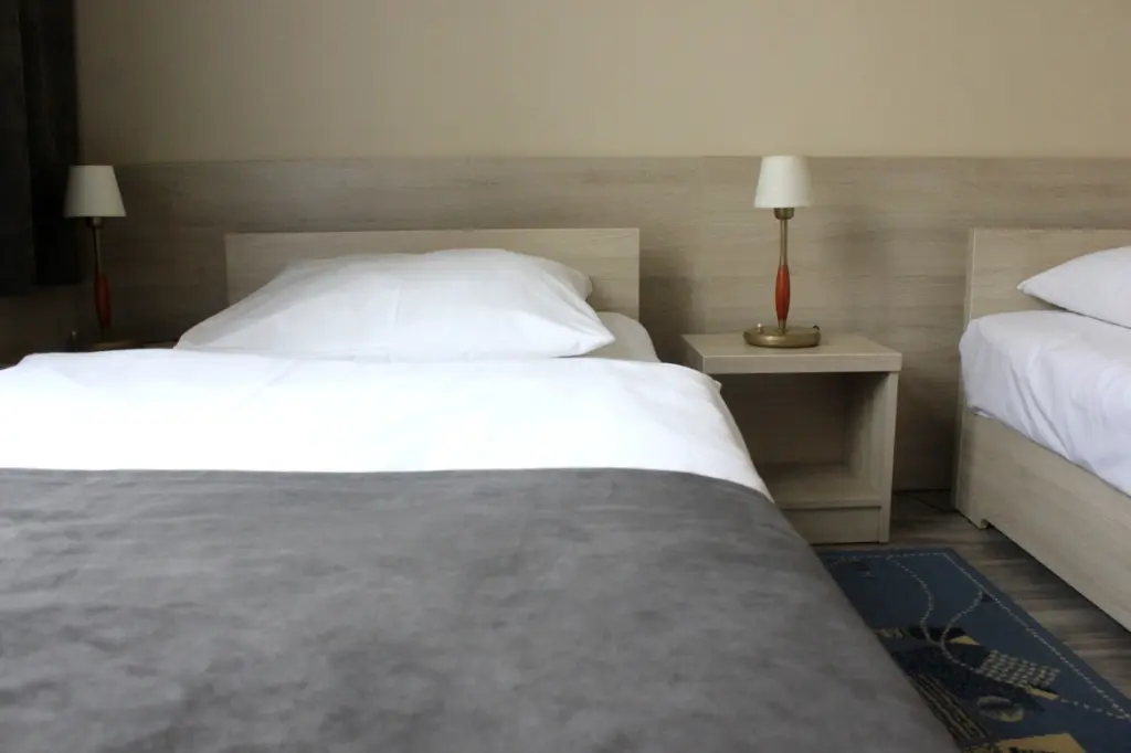 Pokój w hotelu Hotel Nest***