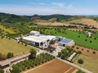 Zdjęcie obiektu Faraone Poland